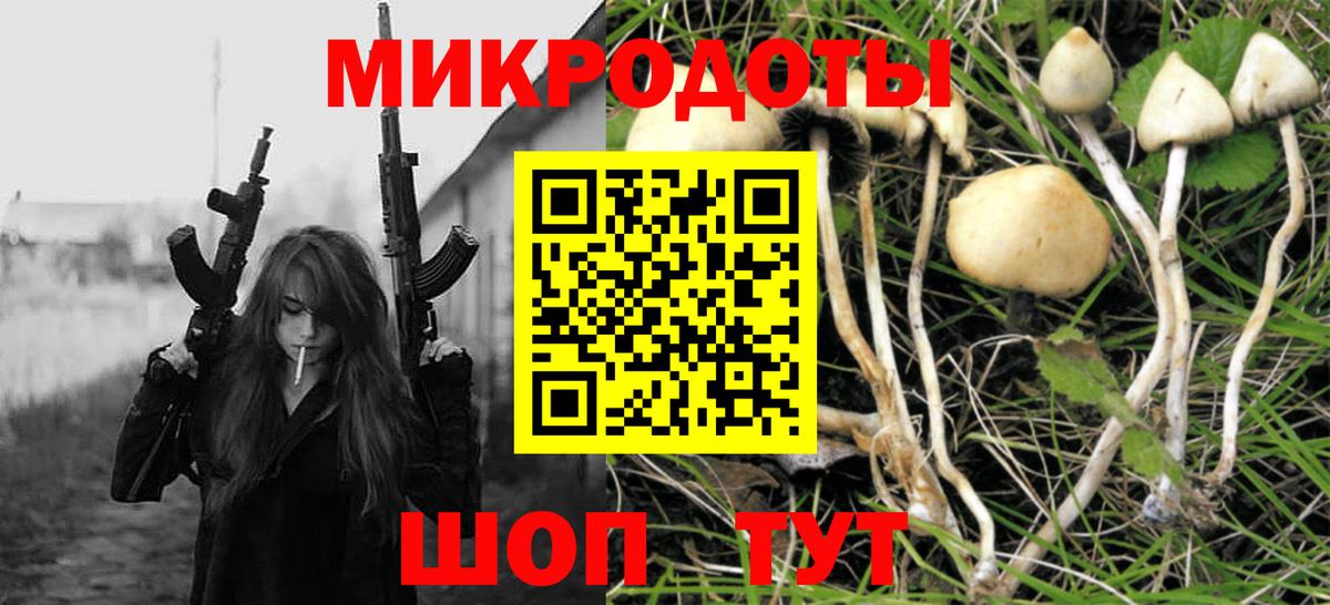 Псилоцибиновые грибы Magic Shrooms Сокол