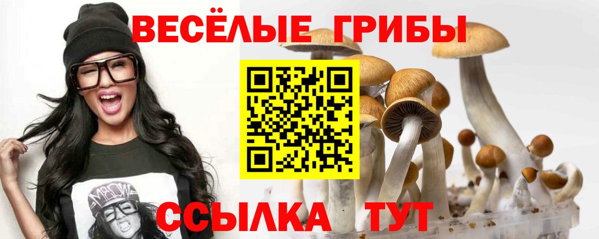 Псилоцибиновые грибы Psilocybine cubensis  Вход с VPN  где продают наркотики  Псилоцибиновые грибы прущие грибы  Сокол 